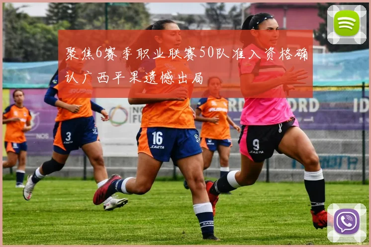 聚焦6赛季职业联赛50队准入资格确认广西平果遗憾出局