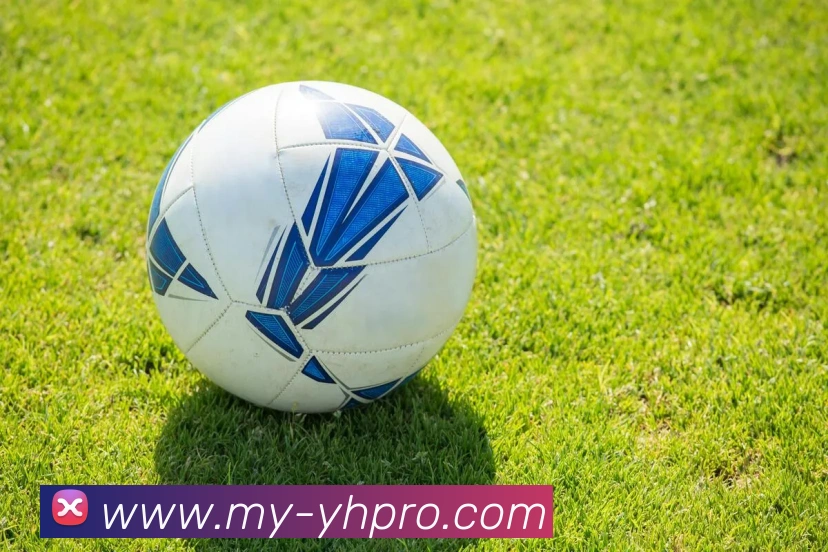 壹号娱乐2026入口发展历程